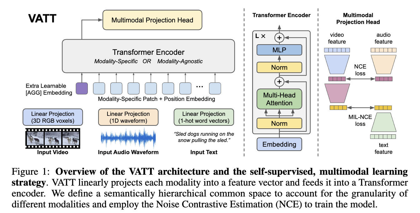 Overview_VATT.png