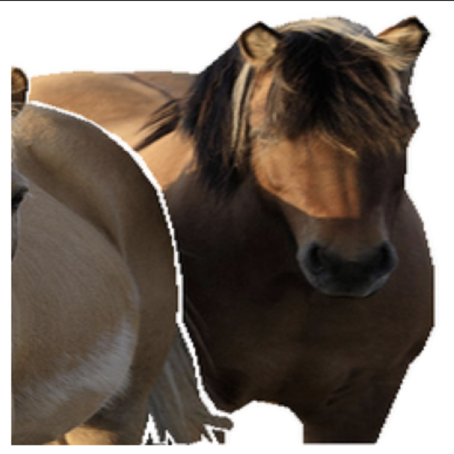 single_instance_example.png