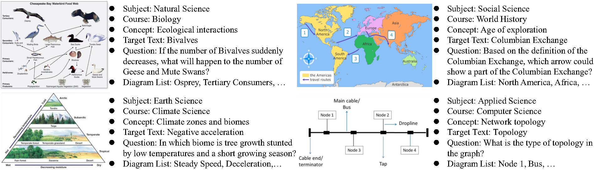 Dataset Examples